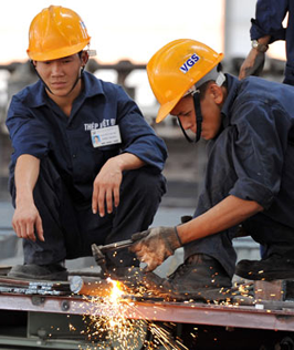 Vietnam-a typical model of development
